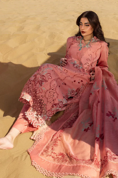 RANG RASIYA suit