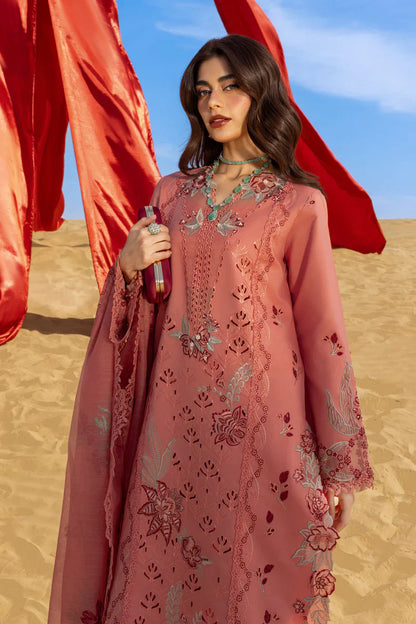 RANG RASIYA suit