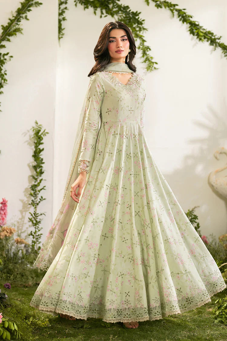 Iznik suits
